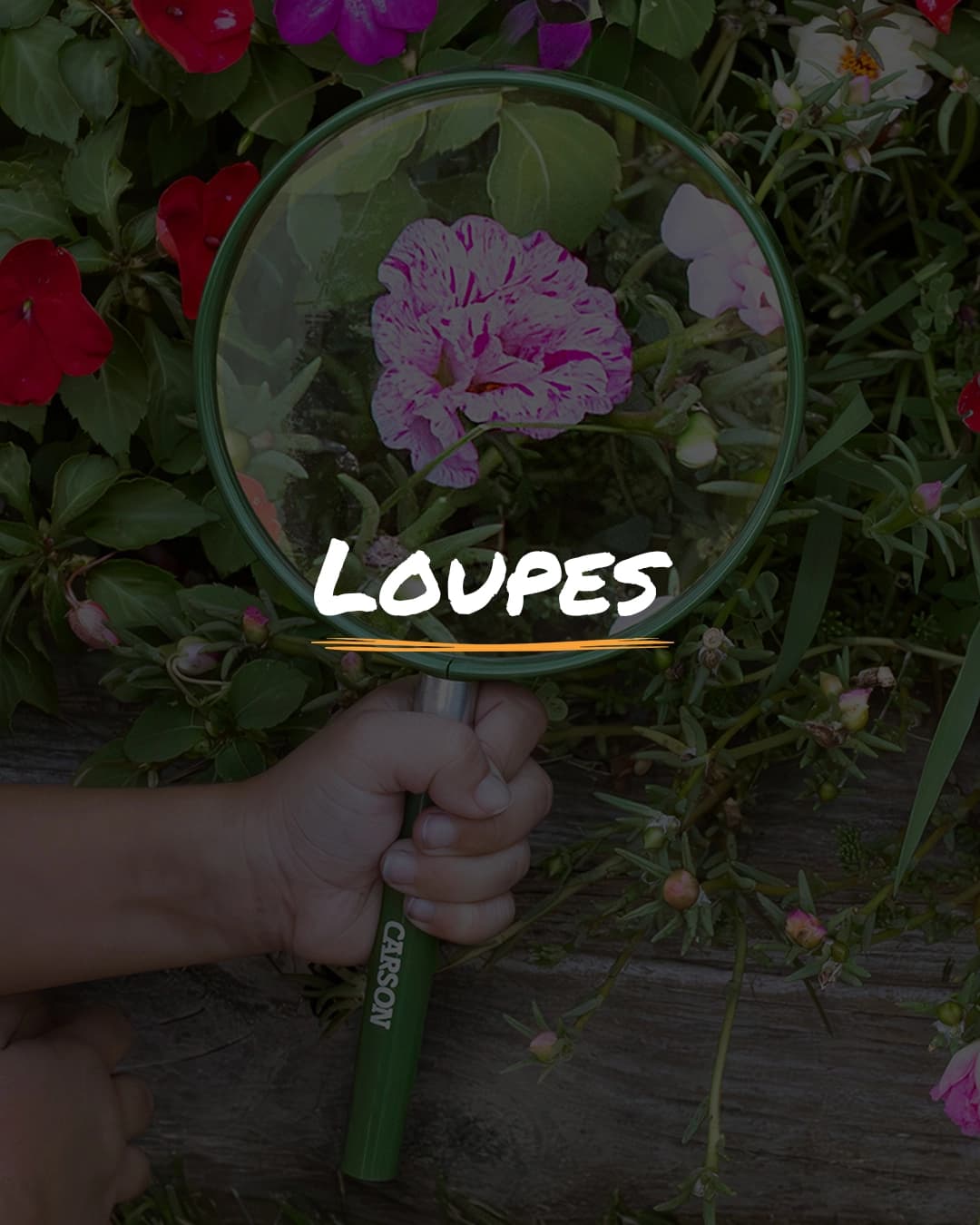 EXPLORATION & OBSERVATION